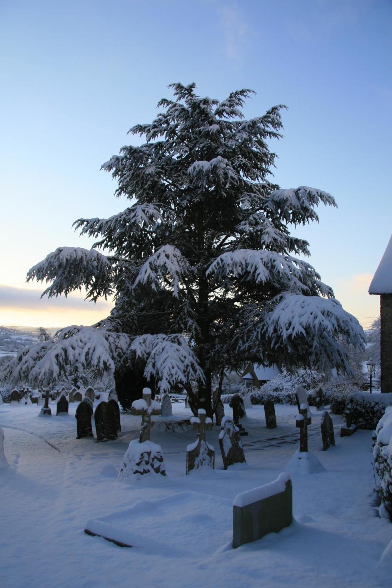 Bed and Breakfast The Belfry At Yarcombe Exterior foto