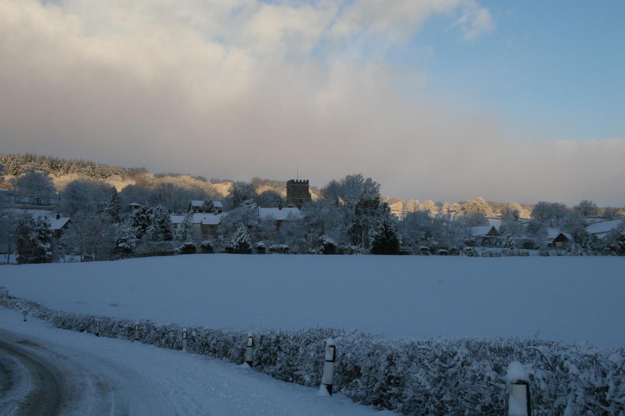 Bed and Breakfast The Belfry At Yarcombe Exterior foto